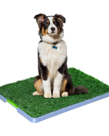 Baño Ecológico Sanitario Mascotas Talla M / Adiestramiento